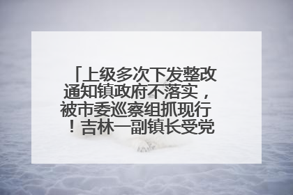 上级多次下发整改通知镇政府不落实，被市委巡察组抓现行！吉林一副镇长受党内警告处分
