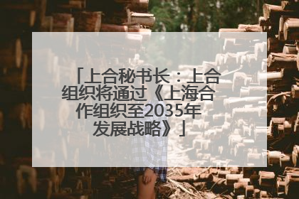 上合秘书长：上合组织将通过《上海合作组织至2035年发展战略》