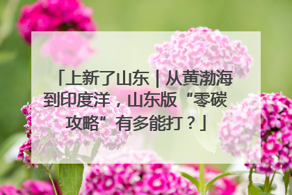 上新了山东｜从黄渤海到印度洋，山东版“零碳攻略”有多能打？