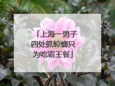 上海一男子四处抓蟑螂只为吃霸王餐