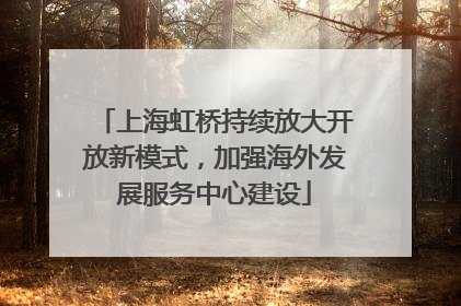 上海虹桥持续放大开放新模式，加强海外发展服务中心建设