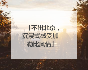 不出北京，沉浸式感受加勒比风情