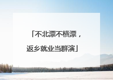不北漂不横漂，返乡就业当群演
