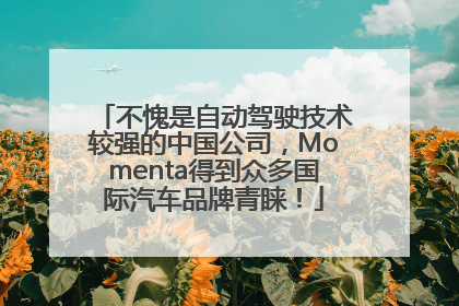 不愧是自动驾驶技术较强的中国公司，Momenta得到众多国际汽车品牌青睐！