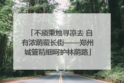 不须秉烛寻凉去 自有浓荫覆长街——郑州城管精细呵护林荫路