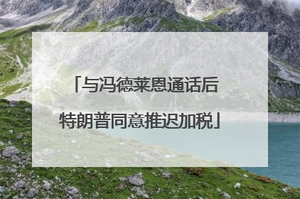 与冯德莱恩通话后 特朗普同意推迟加税