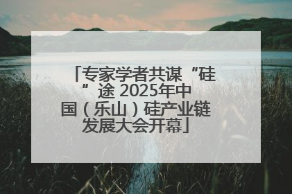 专家学者共谋“硅”途 2025年中国（乐山）硅产业链发展大会开幕