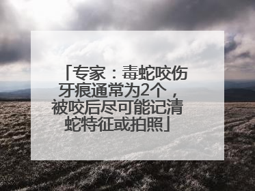 专家：毒蛇咬伤牙痕通常为2个，被咬后尽可能记清蛇特征或拍照