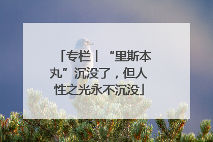 专栏丨“里斯本丸”沉没了，但人性之光永不沉没