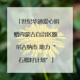 世纪华通爱心捐赠内蒙古自治区额尔古纳市 助力“石榴籽计划”