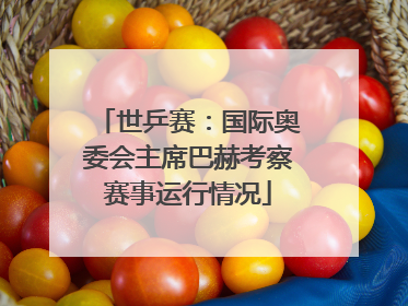 世乒赛：国际奥委会主席巴赫考察赛事运行情况