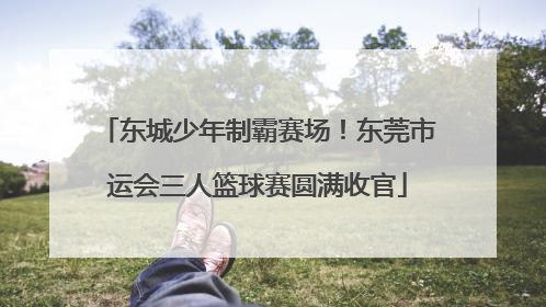 东城少年制霸赛场！东莞市运会三人篮球赛圆满收官