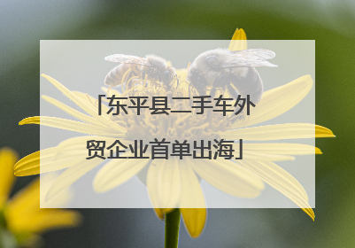 东平县二手车外贸企业首单出海