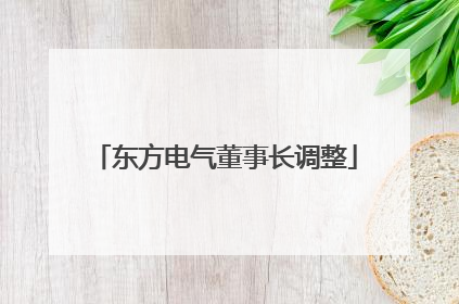 东方电气董事长调整