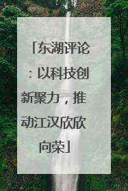 东湖评论：以科技创新聚力，推动江汉欣欣向荣