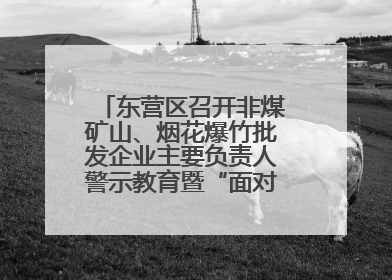 东营区召开非煤矿山、烟花爆竹批发企业主要负责人警示教育暨“面对面”谈话会议