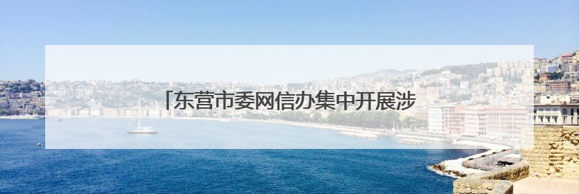 东营市委网信办集中开展涉企网络侵权举报宣传活动