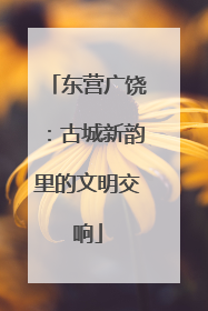 东营广饶：古城新韵里的文明交响