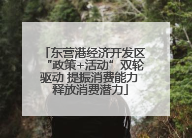 东营港经济开发区“政策+活动”双轮驱动 提振消费能力 释放消费潜力