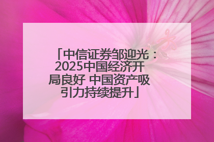 中信证券邹迎光：2025中国经济开局良好 中国资产吸引力持续提升