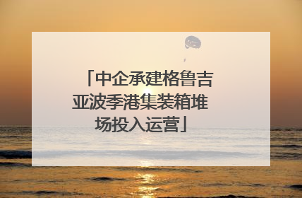 中企承建格鲁吉亚波季港集装箱堆场投入运营