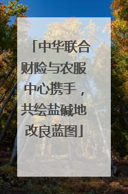 中华联合财险与农服中心携手，共绘盐碱地改良蓝图