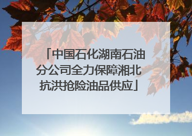 中国石化湖南石油分公司全力保障湘北抗洪抢险油品供应