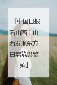 中国日报看山西｜山西发现东方白鹳筑巢繁殖