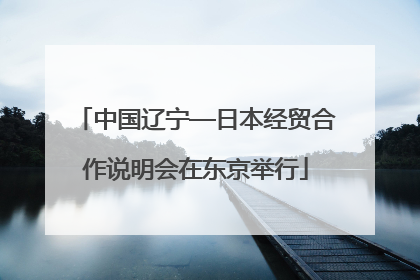 中国辽宁—日本经贸合作说明会在东京举行