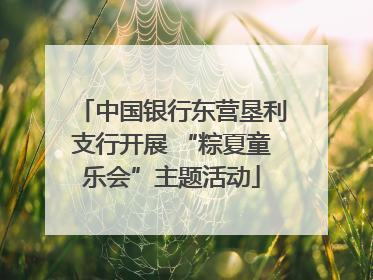 中国银行东营垦利支行开展 “粽夏童乐会”主题活动