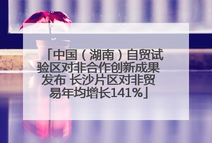 中国（湖南）自贸试验区对非合作创新成果发布 长沙片区对非贸易年均增长141%