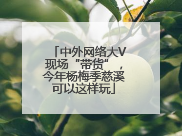 中外网络大V现场“带货”，今年杨梅季慈溪可以这样玩