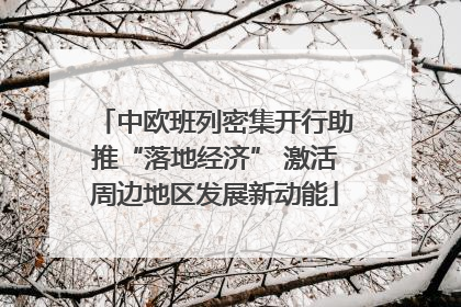 中欧班列密集开行助推“落地经济” 激活周边地区发展新动能