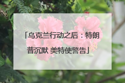 乌克兰行动之后：特朗普沉默 美特使警告