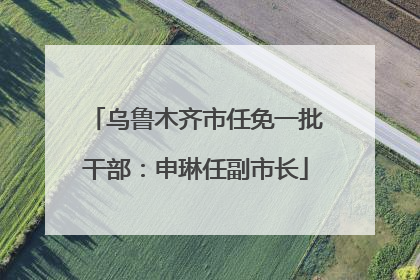 乌鲁木齐市任免一批干部：申琳任副市长