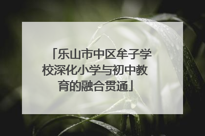 乐山市中区牟子学校深化小学与初中教育的融合贯通