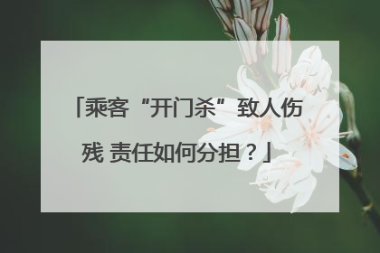 乘客“开门杀”致人伤残 责任如何分担？