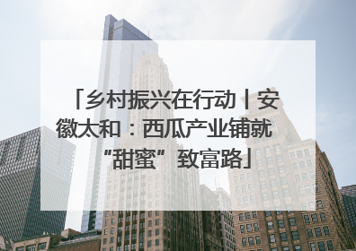 乡村振兴在行动丨安徽太和：西瓜产业铺就“甜蜜”致富路