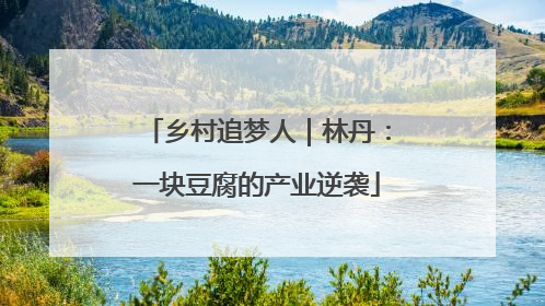 乡村追梦人｜林丹：一块豆腐的产业逆袭