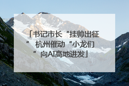 书记市长“挂帅出征” 杭州催动“小龙们”向AI高地进发