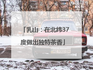 乳山：在北纬37度做出独特茶香