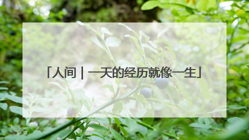人间｜一天的经历就像一生