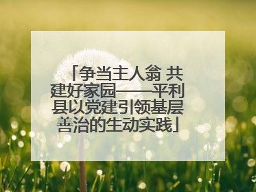 争当主人翁 共建好家园——平利县以党建引领基层善治的生动实践