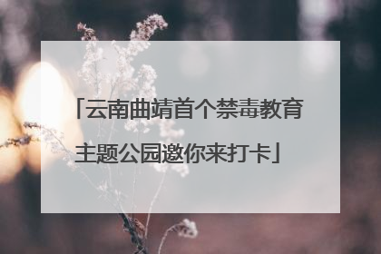云南曲靖首个禁毒教育主题公园邀你来打卡