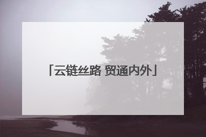 云链丝路 贸通内外