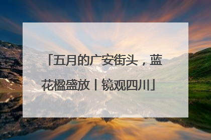 五月的广安街头，蓝花楹盛放丨镜观四川
