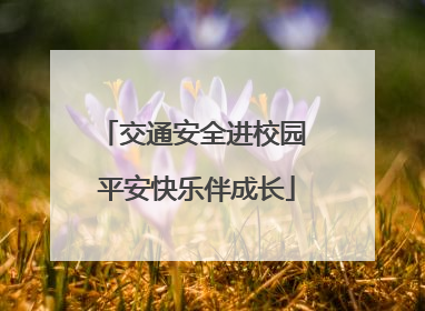交通安全进校园 平安快乐伴成长