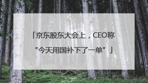 京东股东大会上，CEO称“今天用国补下了一单”