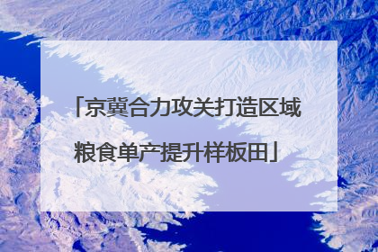 京冀合力攻关打造区域粮食单产提升样板田