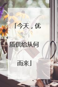 今天，优质供给从何而来